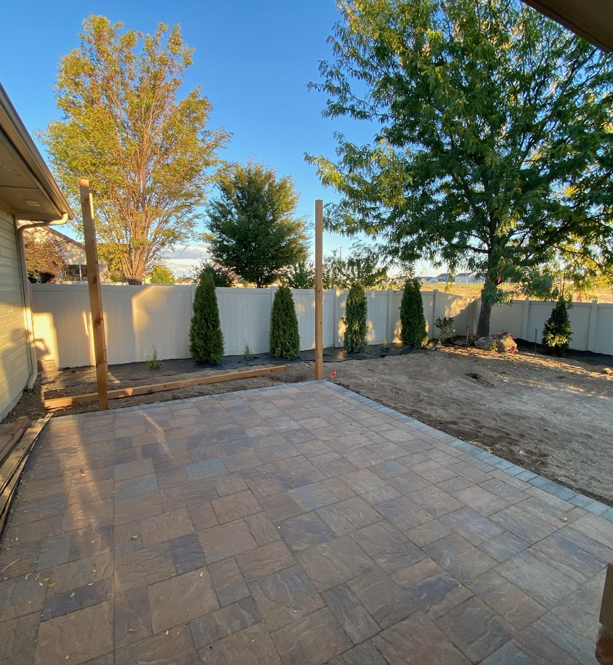 Celeste Grover project